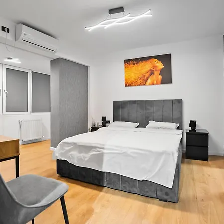 公寓 Riverview Downtown Boulevard 布加勒斯特